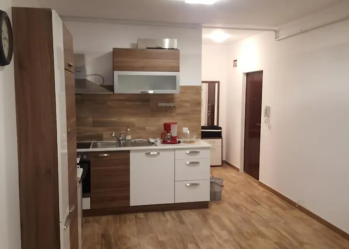 Apartament Lenus'k *